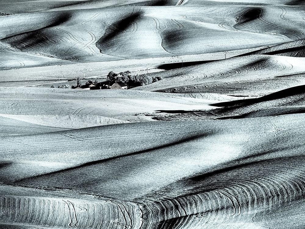 USA-Washington State-Palouse region-Rolling hills at Sunset